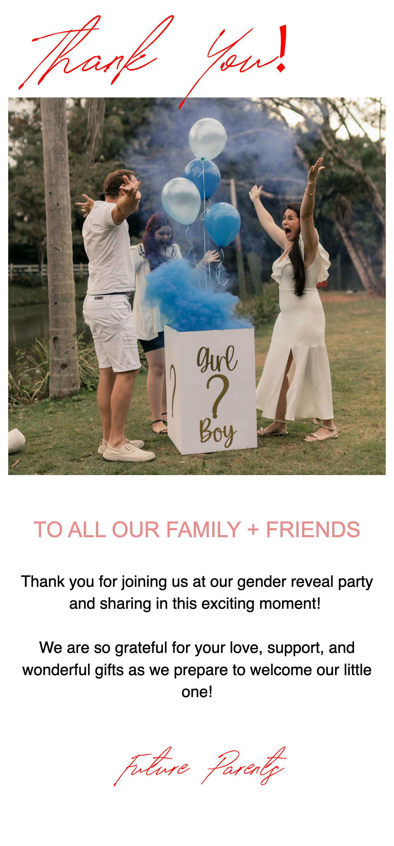 Gender Reveal Party template preview